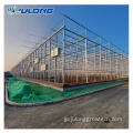 Venlo Hydroponic Multi Span Glass Greenhouse